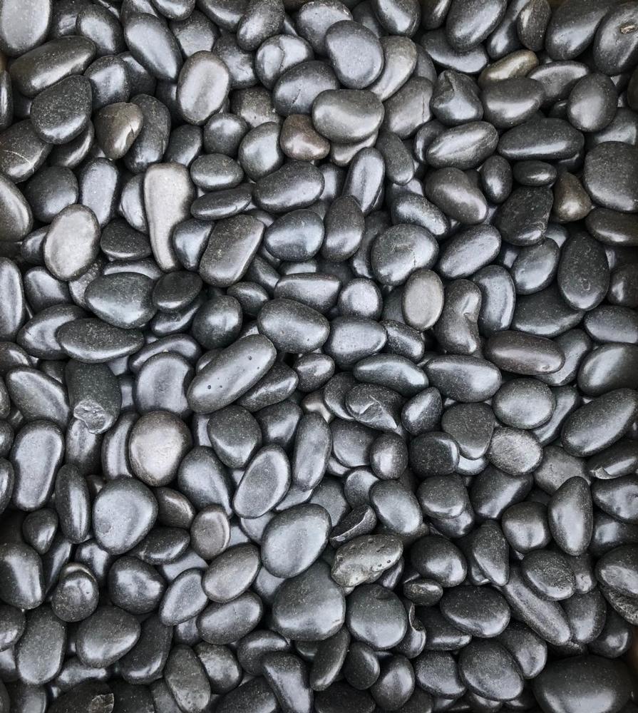 Flat Black 'Button' Pebbles (3/4"-1 1/4")